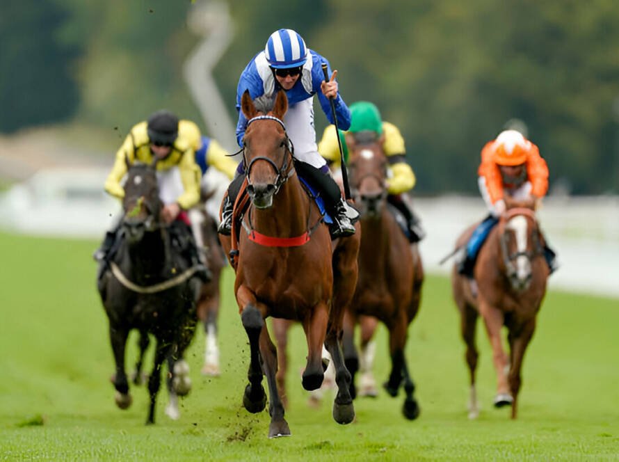 Goodwood Chauffeur Service