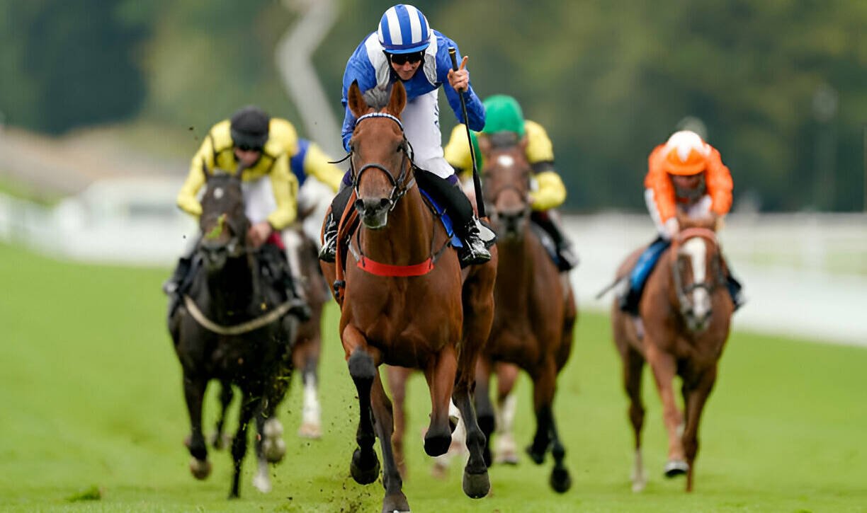 Goodwood Chauffeur Service